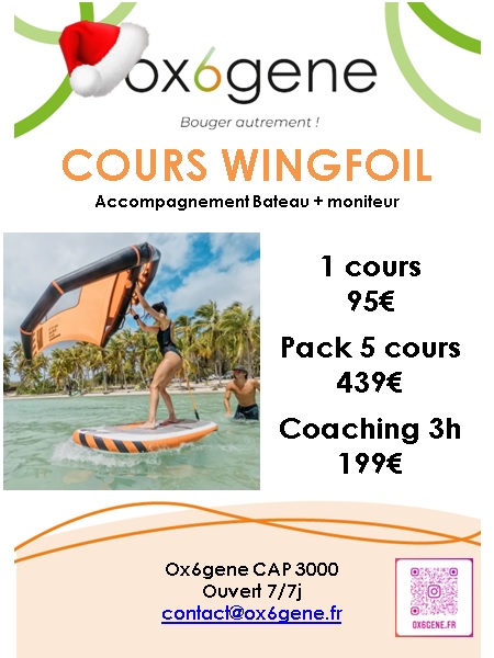 COURS WINGFOIL